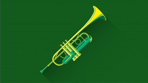 Learn to Play the Trumpet: Beginner to Pro Made the Easy Way