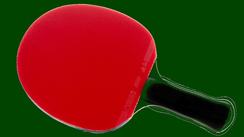 +15 Table Tennis Skills You Need to Master (New Players)