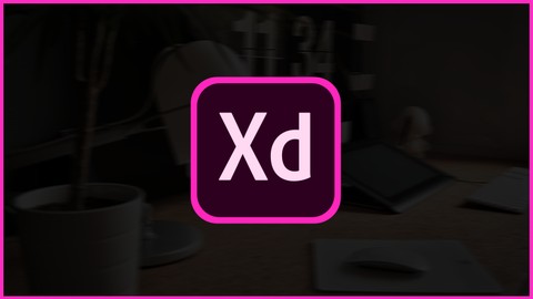 Der Einstieg in Adobe XD - Lerne Experience Design
