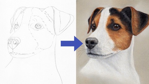 Draw a Jack Russell using Pastel Pencils