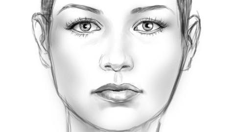 Foundation for Digitally Sketching a Face