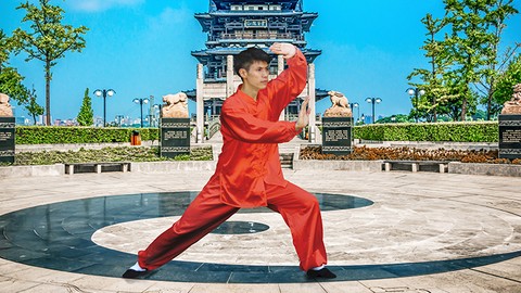 Tai Chi Qi Gong Moves for Beginners - For Energy, Arthritis