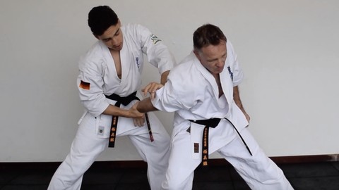 Kyokushin Karate lessons
