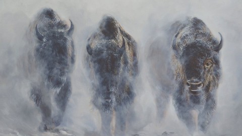 Learn to Paint Bison in Mist Step-by-Step