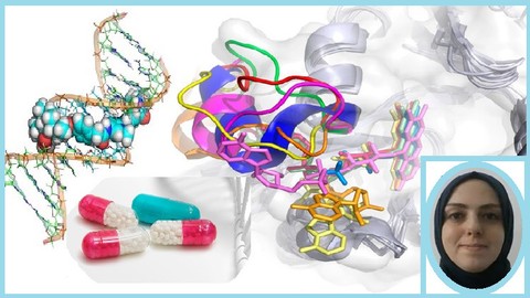 Biology, Nanochemistry and Drug Discovery: The Hidden Holism