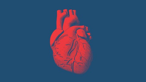 Biomarkers and diagnosis of Heart Failure