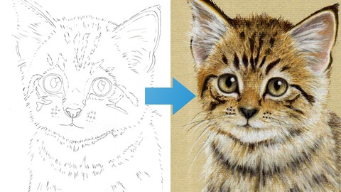 Draw a Kitten using Pastel Pencils