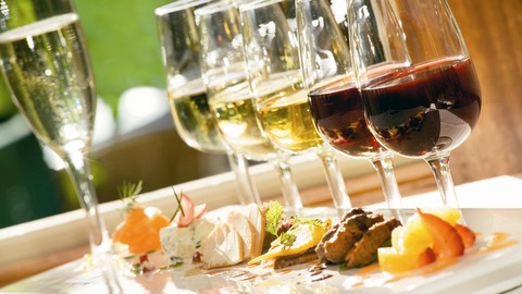 Harmonização de Vinhos e Pratos