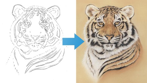 Draw a Tiger using just 6 Pastel Pencils