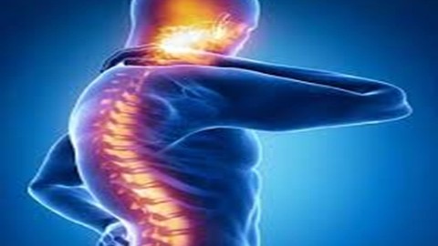 Chiropractic Course (Theory and Techniques)