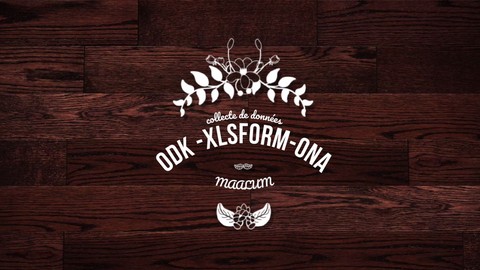 Formation XLSForm, ONA, ODK