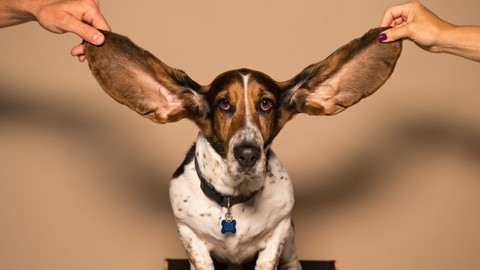 Ear Training Starts Here - Identify The Notes