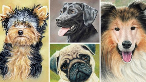 How To Draw Dogs Vol 1 - Pug, Collie, Labrador & Terrier
