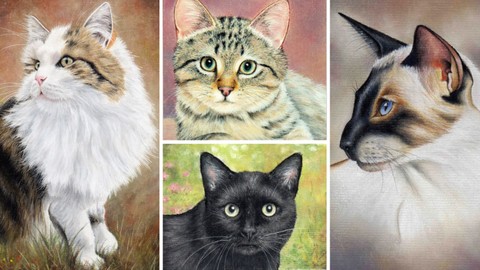 How to Draw Cats with Pastel Pencils