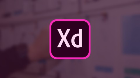 Adobe XD - Grundlagen