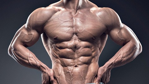 Your Body Building Guide:  Muscle Building For Beginners!