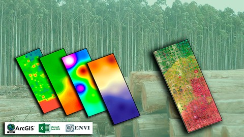 Curso de  Plantaciones Forestales con ArcGIS