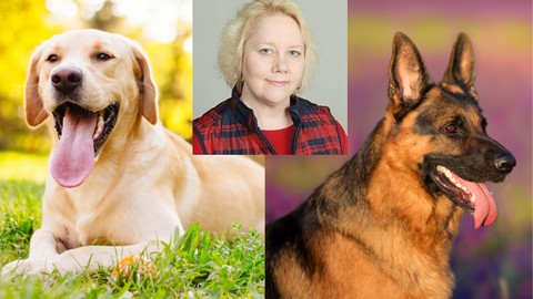 Dog; Dog Training; Dog Breed Selection Course