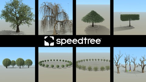 Your first day in SpeedTree