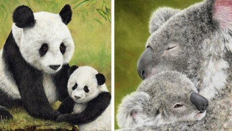 Learn How to Draw Koalas and Pandas Step by Step