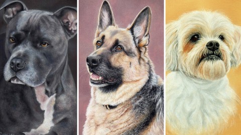 How To Draw Dogs Vol 2 - Staffy, German Shepherd & Shih Tzu