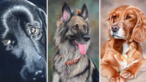 How To Draw Dogs Vol 3 - Labrador, German Shepherd & Spaniel
