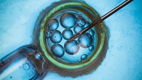 Everything you need to know before starting your IVF or ART