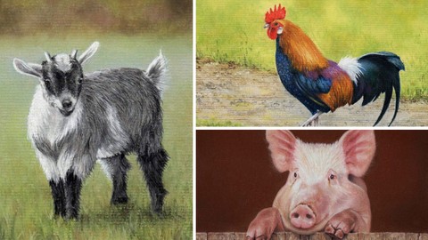 How To Draw Farm Animals Vol 1 - Pig, Rooster and Pygmy Goat