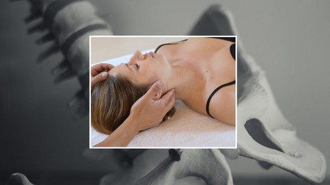 Premium Postural Massage Certification - Touch To Heal