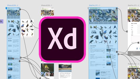 【2023年最新版】Adobe XD 手を動かして覚えるプロトタイピング。UI/UXデザイナーを目指す完全ガイド