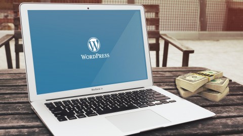 WordPress Marketing: Plugins For Growing Online Business