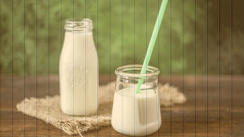 Fermented Dairy 101