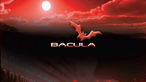 Bacula 1: the open source backup software