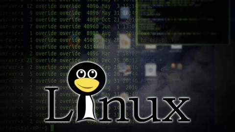 Master Linux and shell script from basic to Pro