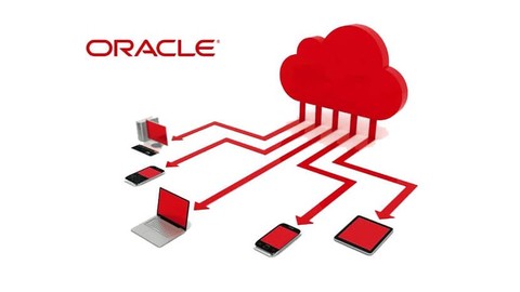 Master Oracle Basics - Over 250 Million GDP Generated