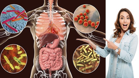 Microbiota Intestinal Y Permeabilidad Intestinal