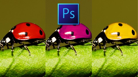 【市場価値を高める】Photoshop「色調補正」16項目を操り画像加工を最速でマスター！