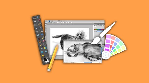 Learn Adobe Photoshop from Scratch