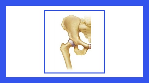 Osteopatía y terapia manual de la cadera