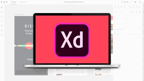 Adobe XD - UX UI Fundamentos de la Experiencia de Usuario