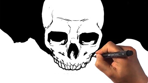 How to Draw the Skull - Figure Drawing Anatomy Course