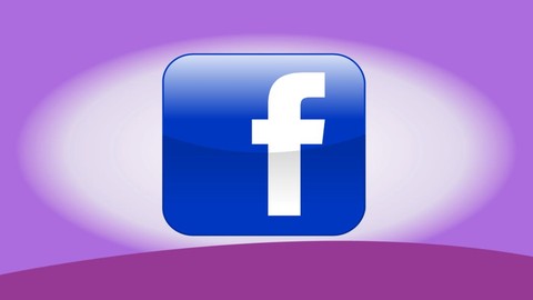 FB Analytics For (Beginners): Fast Track Training