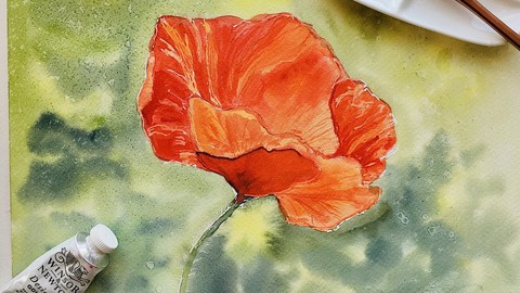Watercolor Flowers for beginners - painting poppies