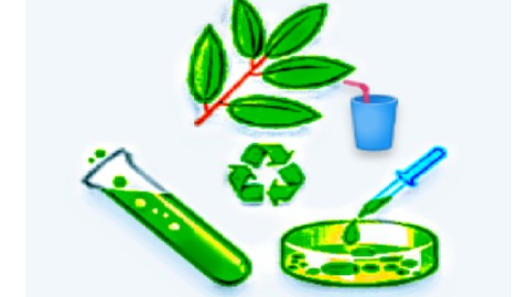 Introduction to Bioplastics and Biopolymers