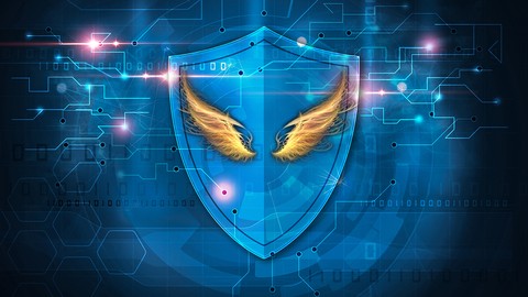 The Shield : The Blueprints to Your Highest Vibration