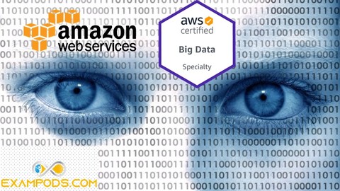 AWS Certified Data Analytics Practice Exams | Exampods