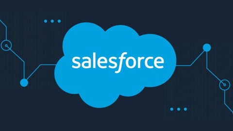 Salesforce Marketing Cloud Consultant