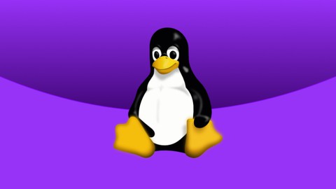 Linux | Fondamentaux et Scripting Shell