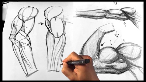 How to Draw Arms - Arm I Hands Figure Drawing Anatomy Course
