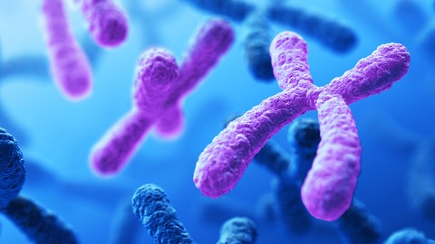 Genetics for Beginners: The Videocourse